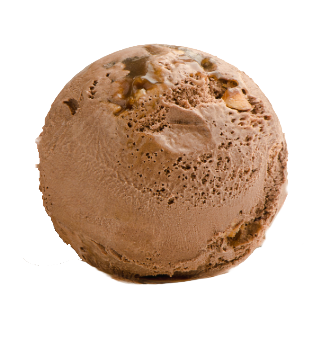 Haselnuss - NOCCIOLA DI PIEMONTE (cleanlabel)