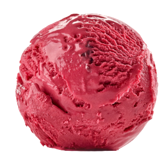 Heidelbeere Sorbet (cleanlabel)