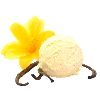 Bourbon Vanille
